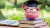 AdobeStock_1558975691-5376x3022.jpeg